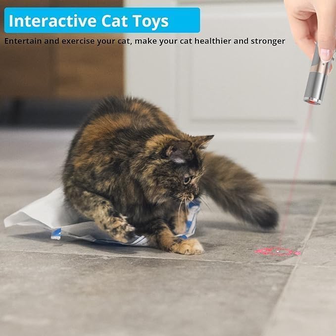 Jouet Laser Rechargeable pour Chats | Amusement Intérieur avec Modes Variés