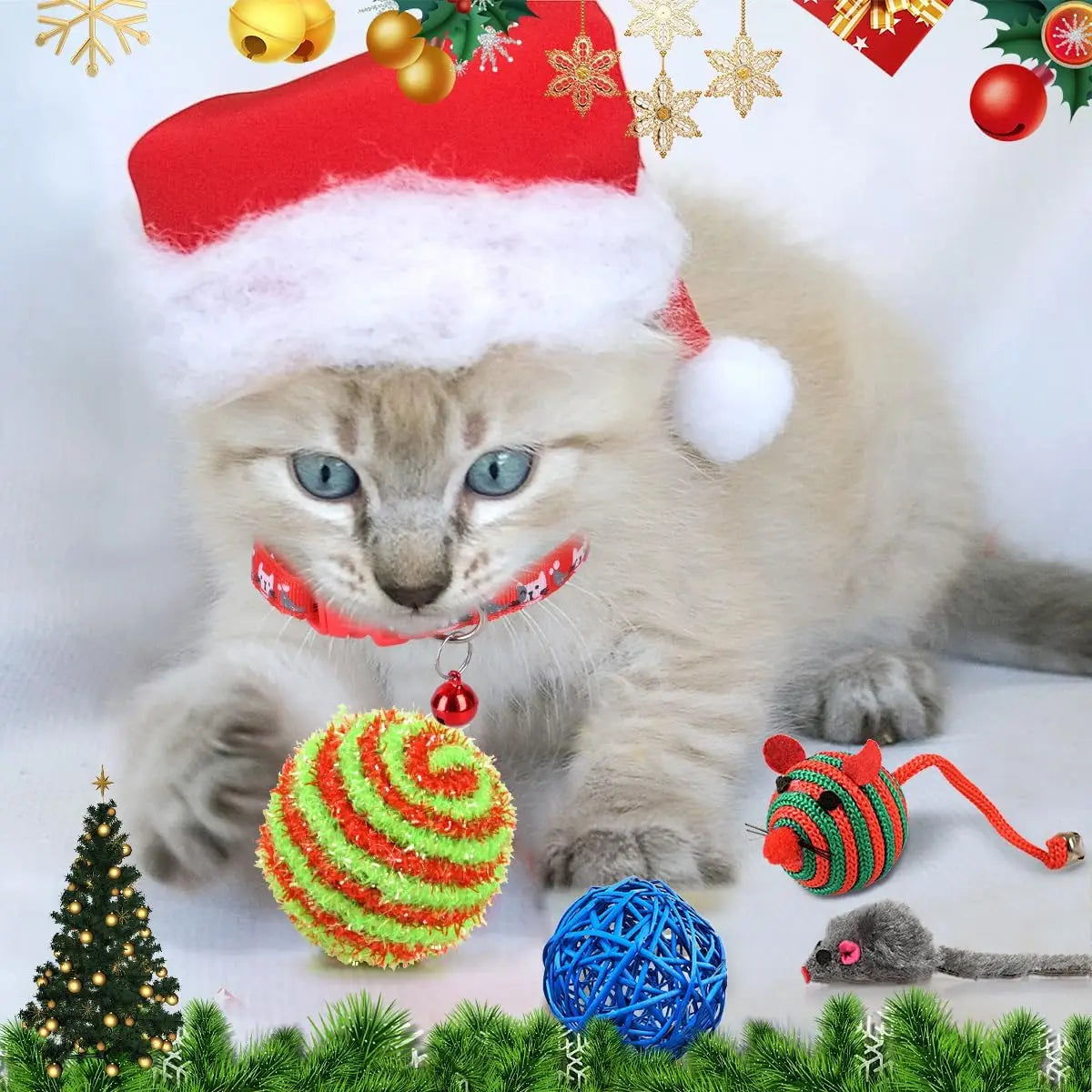 Calendrier de l'Avent pour Chats | Jouets Interactifs et Surprises Quotidiennes