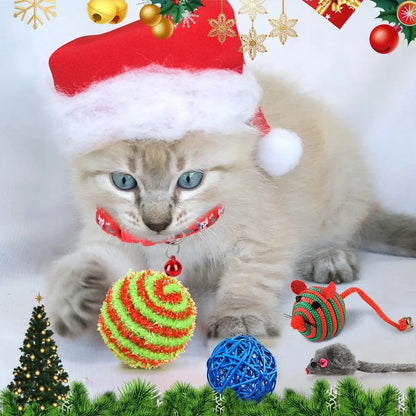 Calendrier de l'Avent pour Chats | Jouets Interactifs et Surprises Quotidiennes