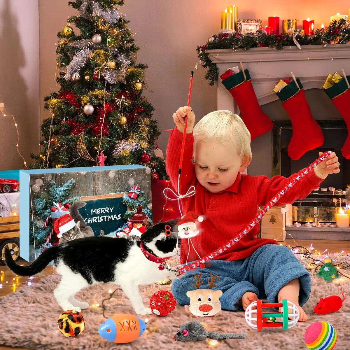 Calendrier de l'Avent pour Chats | Jouets Interactifs et Surprises Quotidiennes