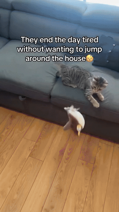 Jouet Interactif pour Chat | Peluche Animée pour un Divertissement Actif