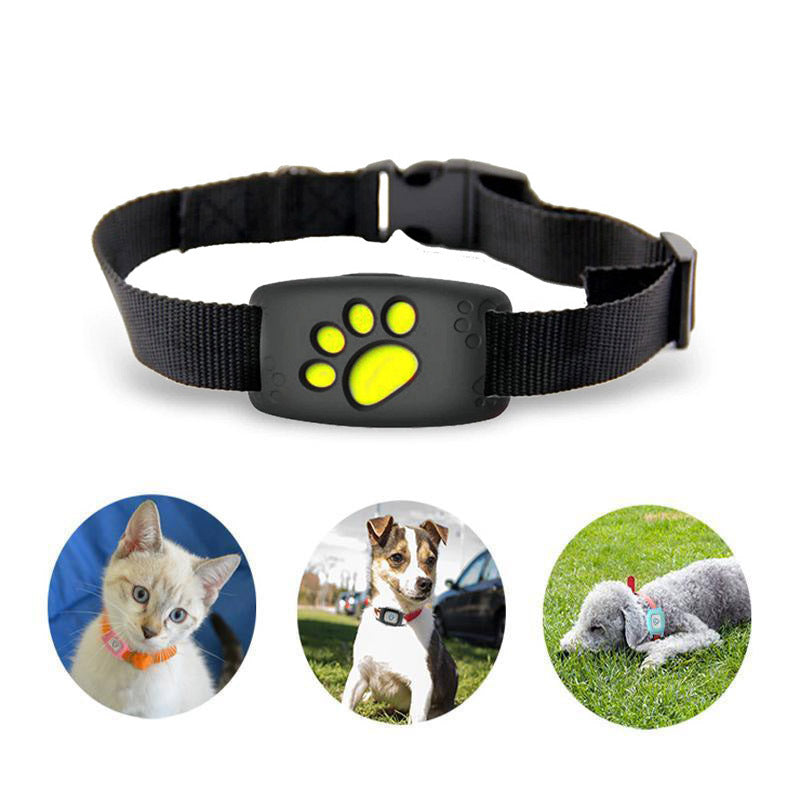Traceur GPS pour Chat Étanche | Suivi en Temps Réel et Sécurité Accrue