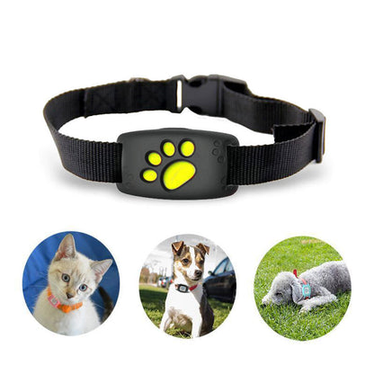 Traceur GPS pour Chat Étanche | Suivi en Temps Réel et Sécurité Accrue