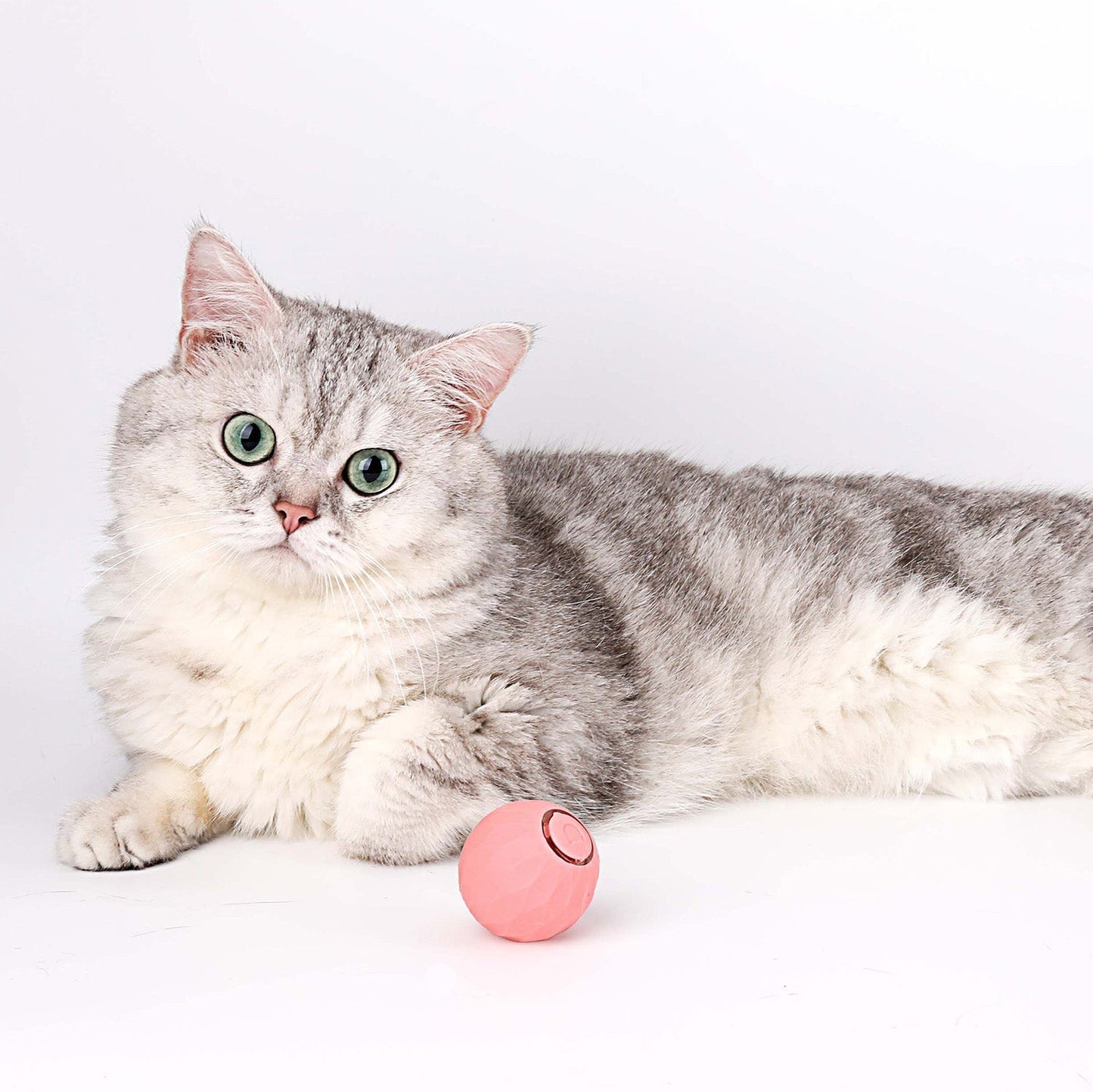 Jouet Interactif pour Chat Roulant | Moments de Jeu Actif et Stimulation