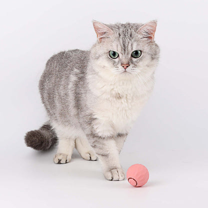 Jouet Interactif pour Chat Roulant | Moments de Jeu Actif et Stimulation