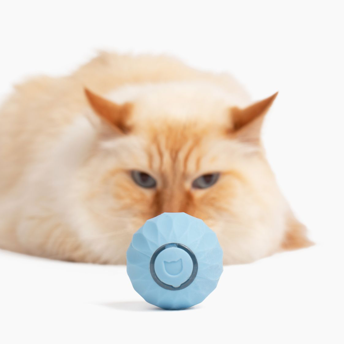 Jouet Interactif pour Chat Roulant | Moments de Jeu Actif et Stimulation