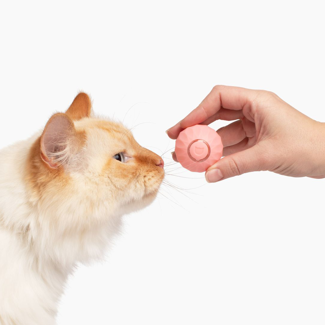 Jouet Interactif pour Chat Roulant | Moments de Jeu Actif et Stimulation