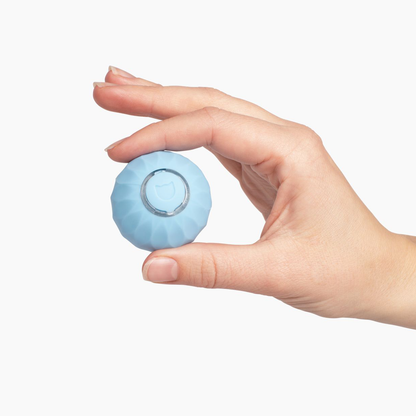 Jouet Interactif pour Chat Roulant | Moments de Jeu Actif et Stimulation