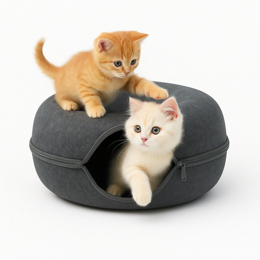 Lit Tunnel pour Chats | Confort et Amusement en Feutre