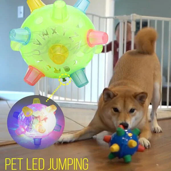 Balle Rebondissante LED pour Chien | Jouet Interactif et Sûr la Nuit