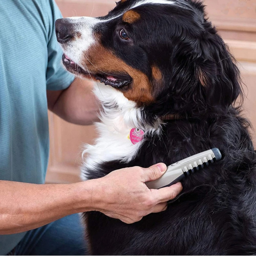 Tondeuse pour Chiens Anti-Enchevêtrements | Toilettage Doux et Sans Douleur
