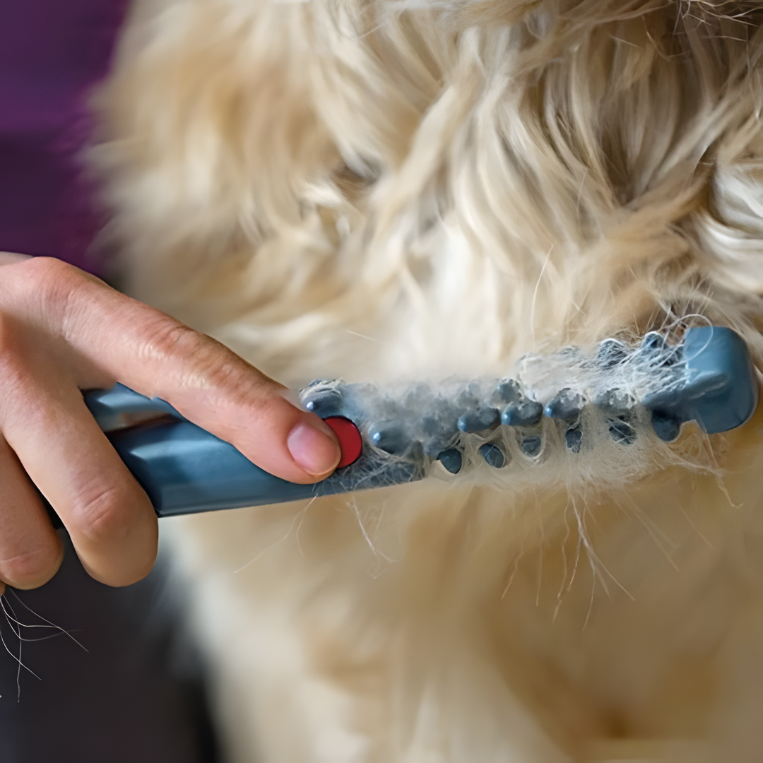Tondeuse pour Chiens Anti-Enchevêtrements | Toilettage Doux et Sans Douleur