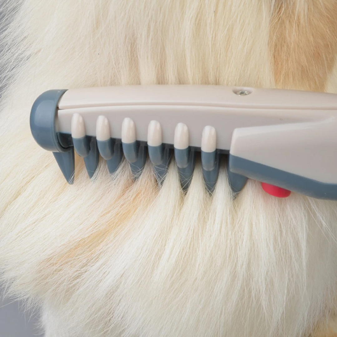 Tondeuse pour Chiens Anti-Enchevêtrements | Toilettage Doux et Sans Douleur