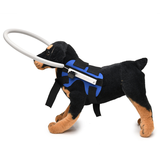 Harnais pour Chien Guide | Sangle Réfléchissante et Sécurisée
