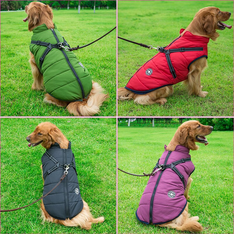 Manteau pour Chien Isolé avec Harnais | Protection et Confort par Tous les Temps