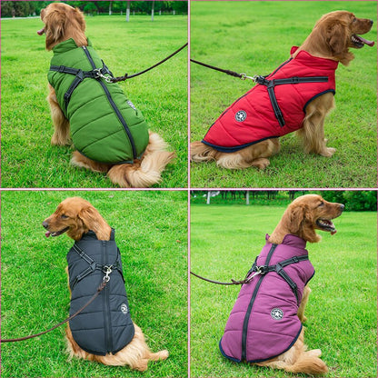 Manteau pour Chien Isolé avec Harnais | Protection et Confort par Tous les Temps