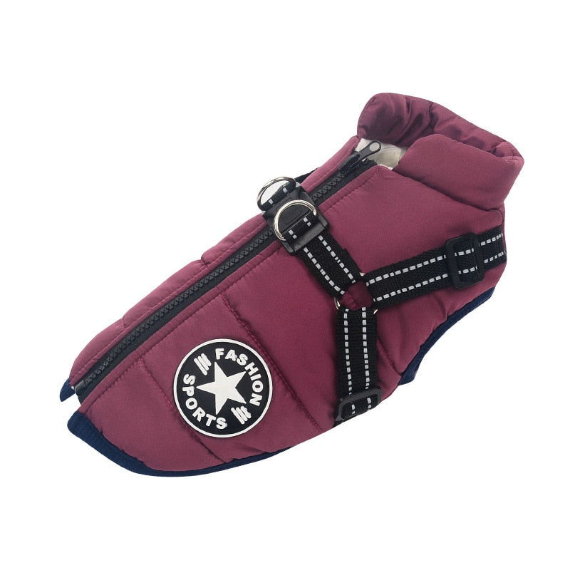 Manteau pour Chien Isolé avec Harnais | Protection et Confort par Tous les Temps