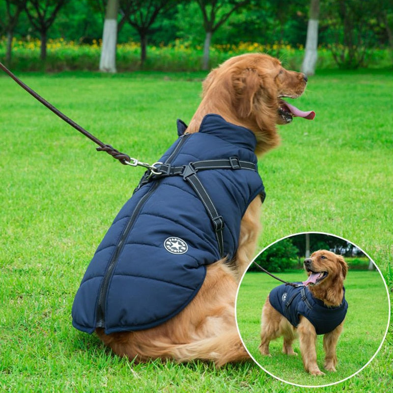 Manteau pour Chien Isolé avec Harnais | Protection et Confort par Tous les Temps
