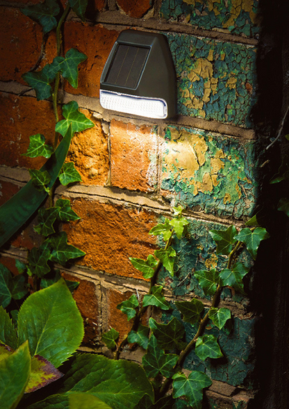Lampe Solaire d'Extérieur Chic | Éclairage Ambiant Écologique et Élégant