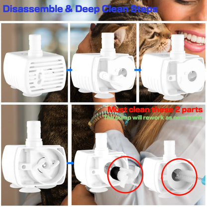 Fontaine à Eau pour Chats | Acier Inoxydable et Silencieuse