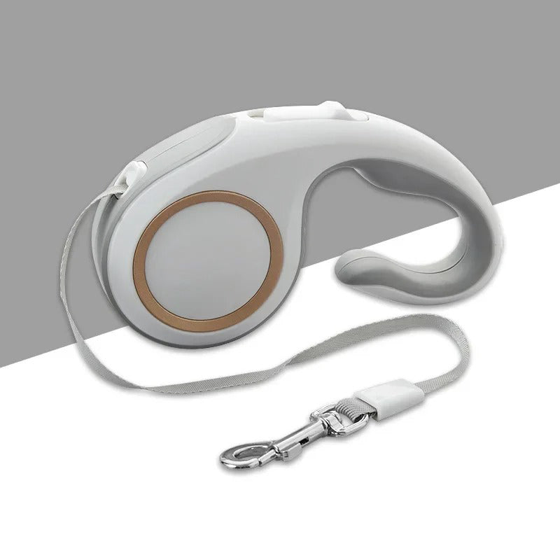 Laisse pour Chien Rétractable | Conception Ergonomique et Antienchevêtrement