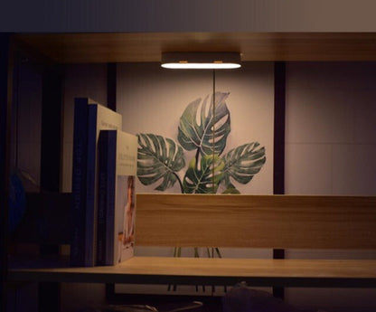 Applique Murale LED Rechargeable | Détection de Mouvement et Design Élégant