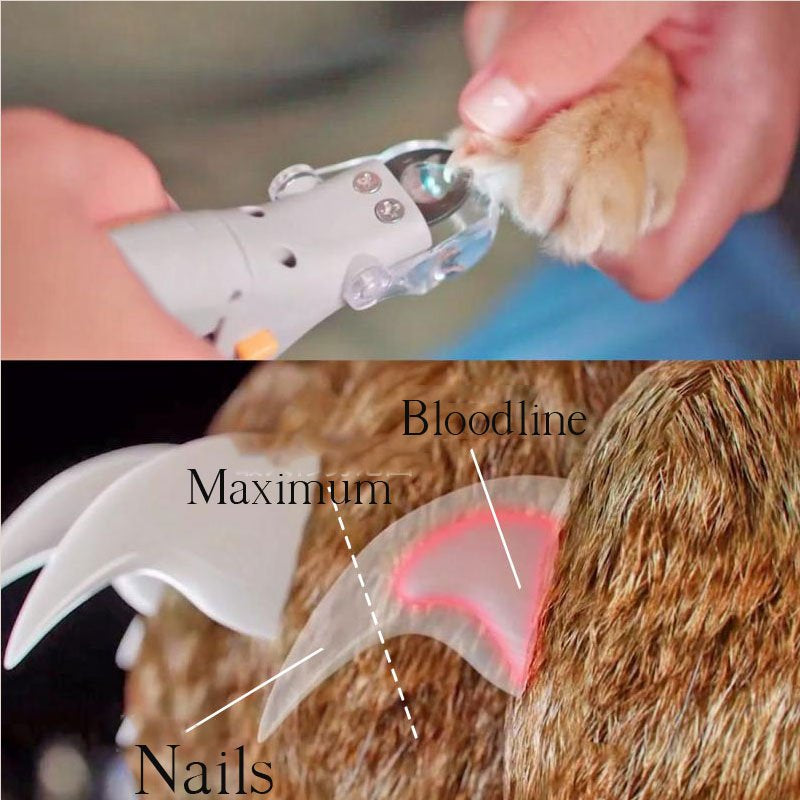 Coupe-ongles Précis pour Animaux | Éclairage LED et Lentille 5x