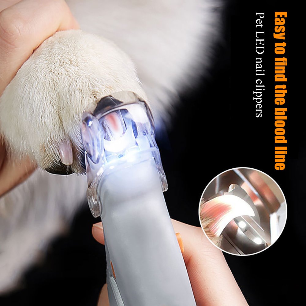Coupe-ongles Précis pour Animaux | Éclairage LED et Lentille 5x