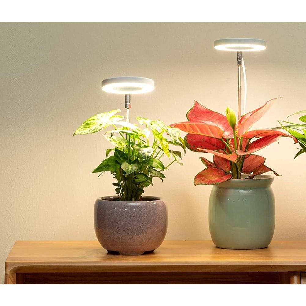 Lampe de Culture LED Spectre Complet | Croissance Optimale pour Plantes d'Intérieur
