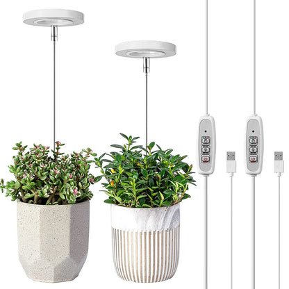 Lampe de Culture LED Spectre Complet | Croissance Optimale pour Plantes d'Intérieur