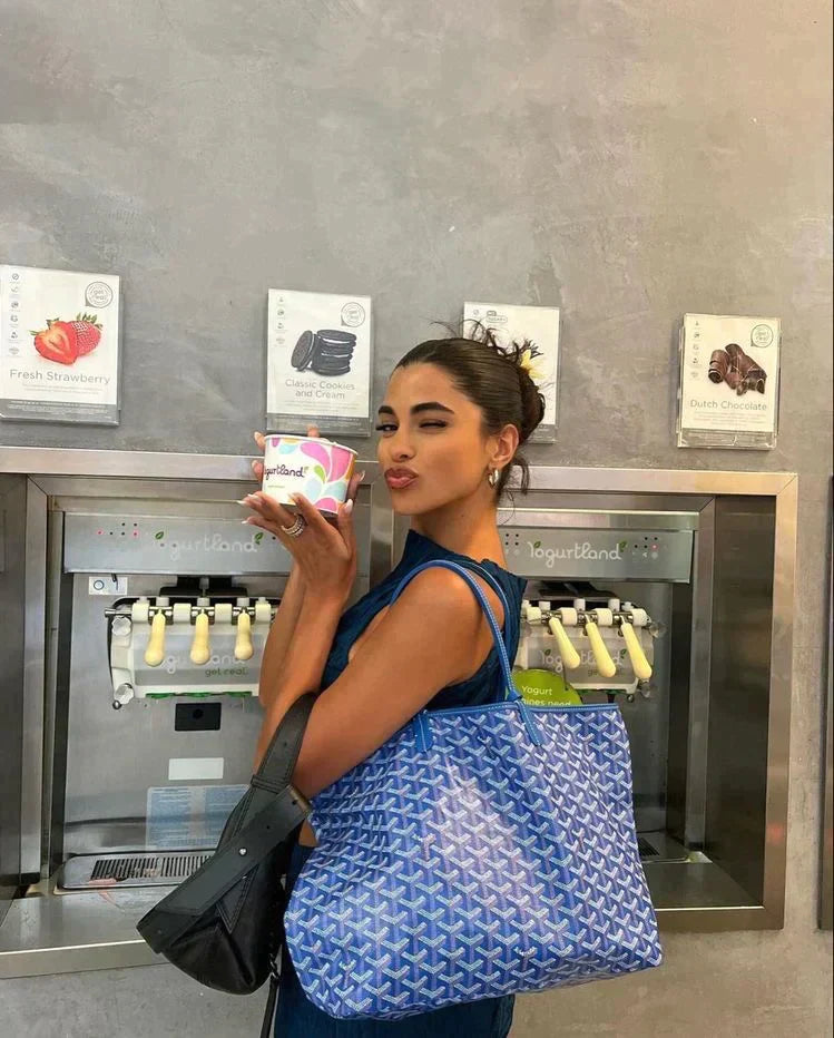 Sac à Main Élégant pour Femmes | Design Pratique et Polyvalent