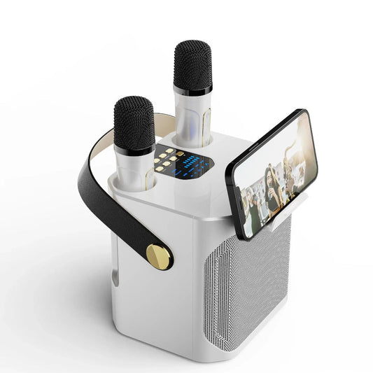 Haut-Parleur Karaoke Portable Bluetooth | Son Surround 360° et Deux Microphones