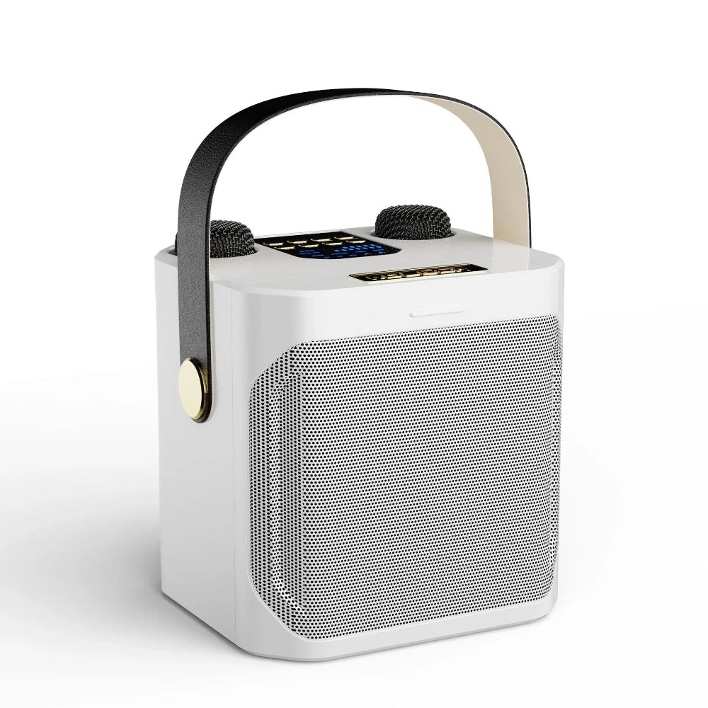 Haut-Parleur Karaoke Portable Bluetooth | Son Surround 360° et Deux Microphones