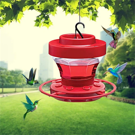 Mangeoire à Colibris Suspendue | Protection Anti-fourmis et Facile à Nettoyer