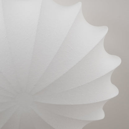 Luminaire de Plafond Élégant | Design Inspiré des Coquillages