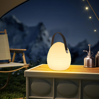 Lanterne Moderne d'Extérieur avec LED | Télécommande et 16 Couleurs Personnalisables
