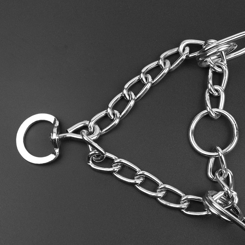 Collier de Dressage pour Chien | Ajustable avec Pointes en Métal