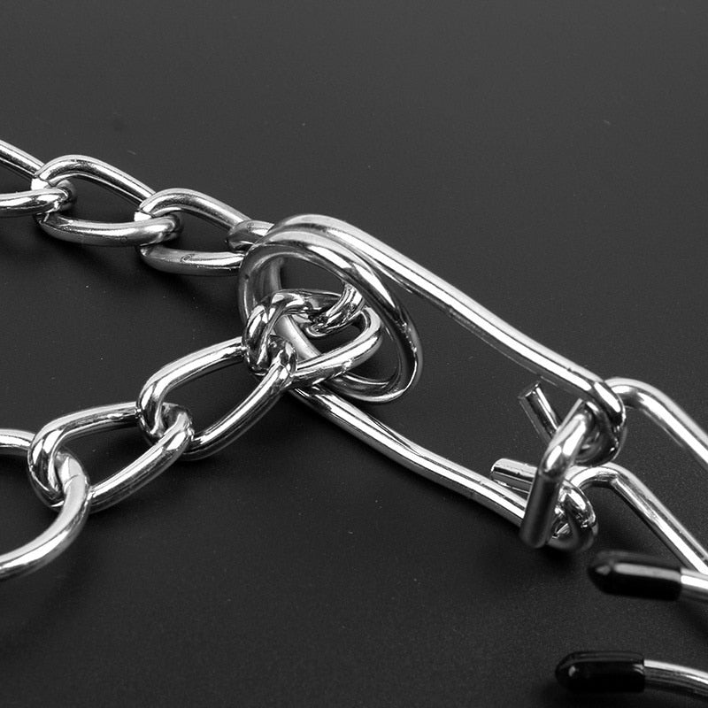 Collier de Dressage pour Chien | Ajustable avec Pointes en Métal