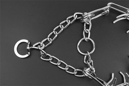 Collier de Dressage pour Chien | Ajustable avec Pointes en Métal