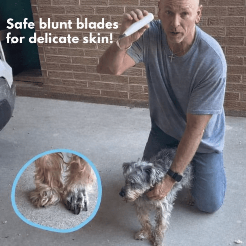 Tondeuse Silencieuse pour Animaux | Toilettage Doux des Zones Sensibles