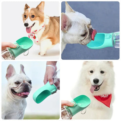 Bouteille d'eau pour chien étanche | Hydratation Facile en Voyage et Promenade