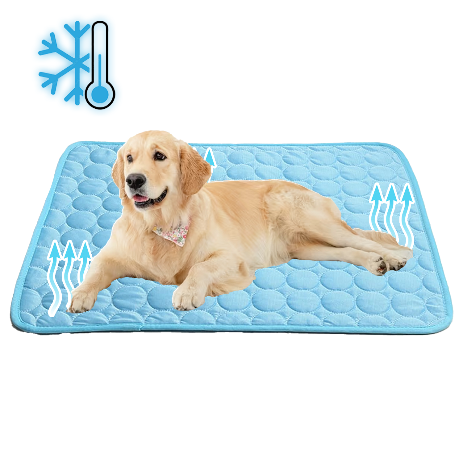 Tapis Refroidissant pour Chiens | Technologie Avancée et Sécurisée