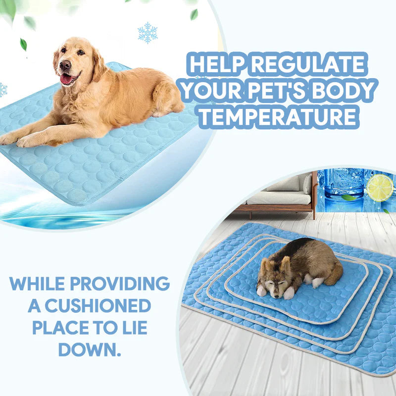 Tapis Refroidissant pour Chiens | Technologie Avancée et Sécurisée