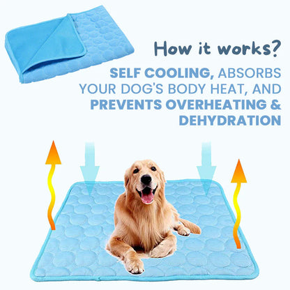 Tapis Refroidissant pour Chiens | Technologie Avancée et Sécurisée