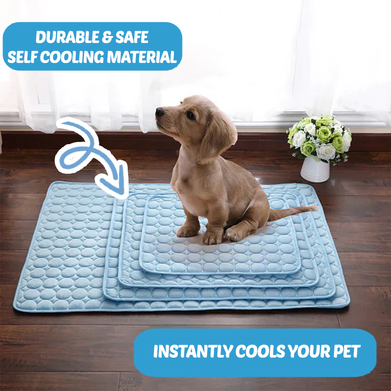 Tapis Refroidissant pour Chiens | Technologie Avancée et Sécurisée