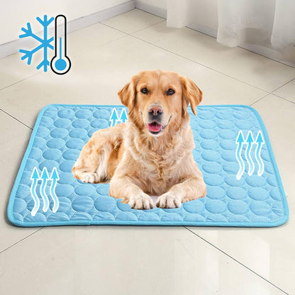 Tapis Refroidissant pour Chiens | Technologie Avancée et Sécurisée