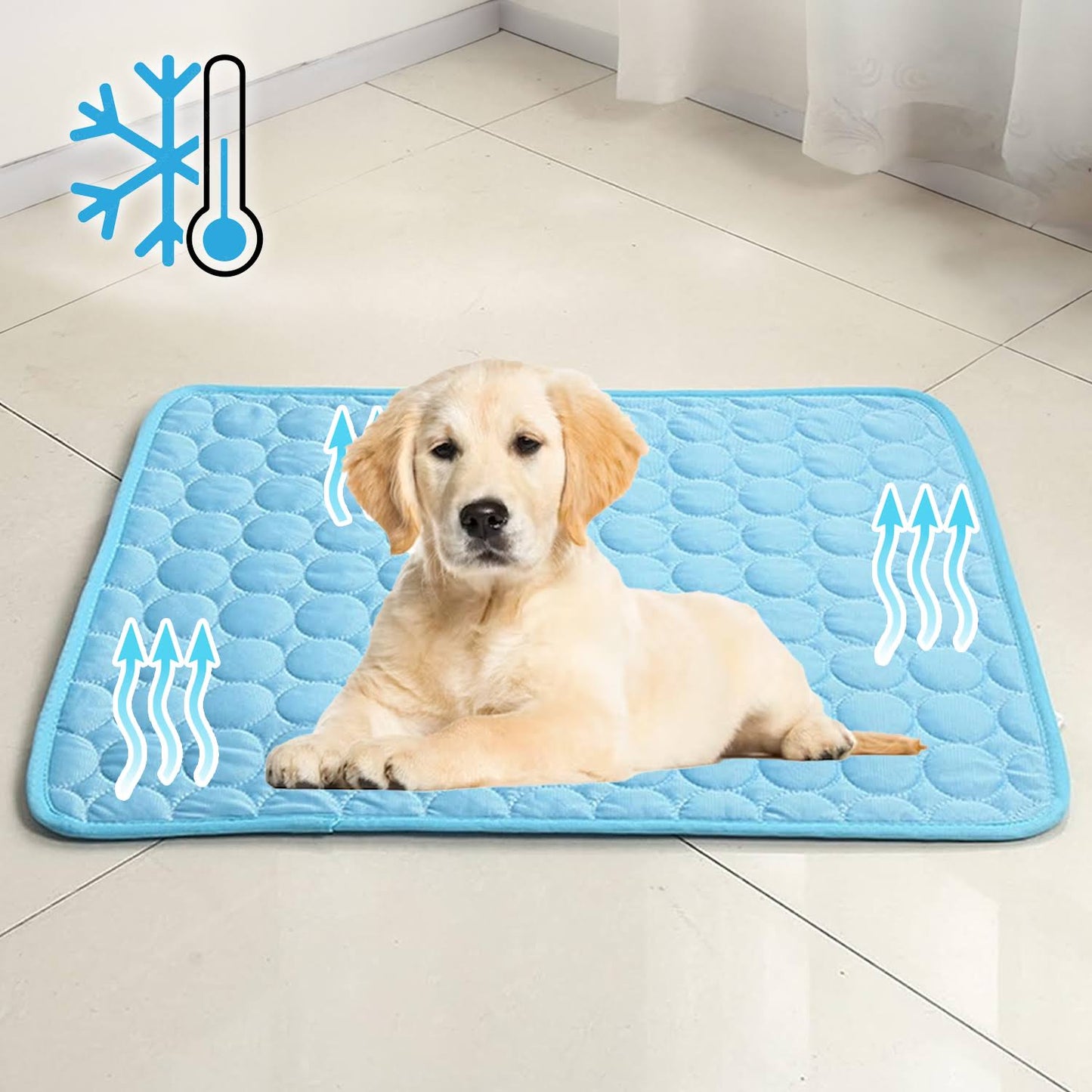 Tapis Refroidissant pour Chiens | Technologie Avancée et Sécurisée