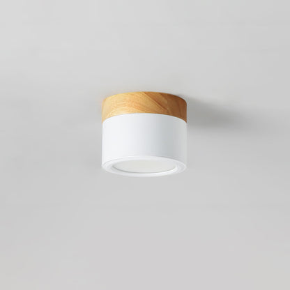 Spot de Plafond Minimaliste | Éclairage Ciblé et Design Scandinave