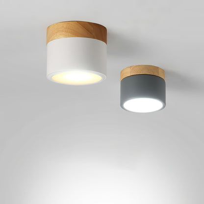 Spot de Plafond Minimaliste | Éclairage Ciblé et Design Scandinave