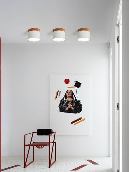 Spot de Plafond Minimaliste | Éclairage Ciblé et Design Scandinave